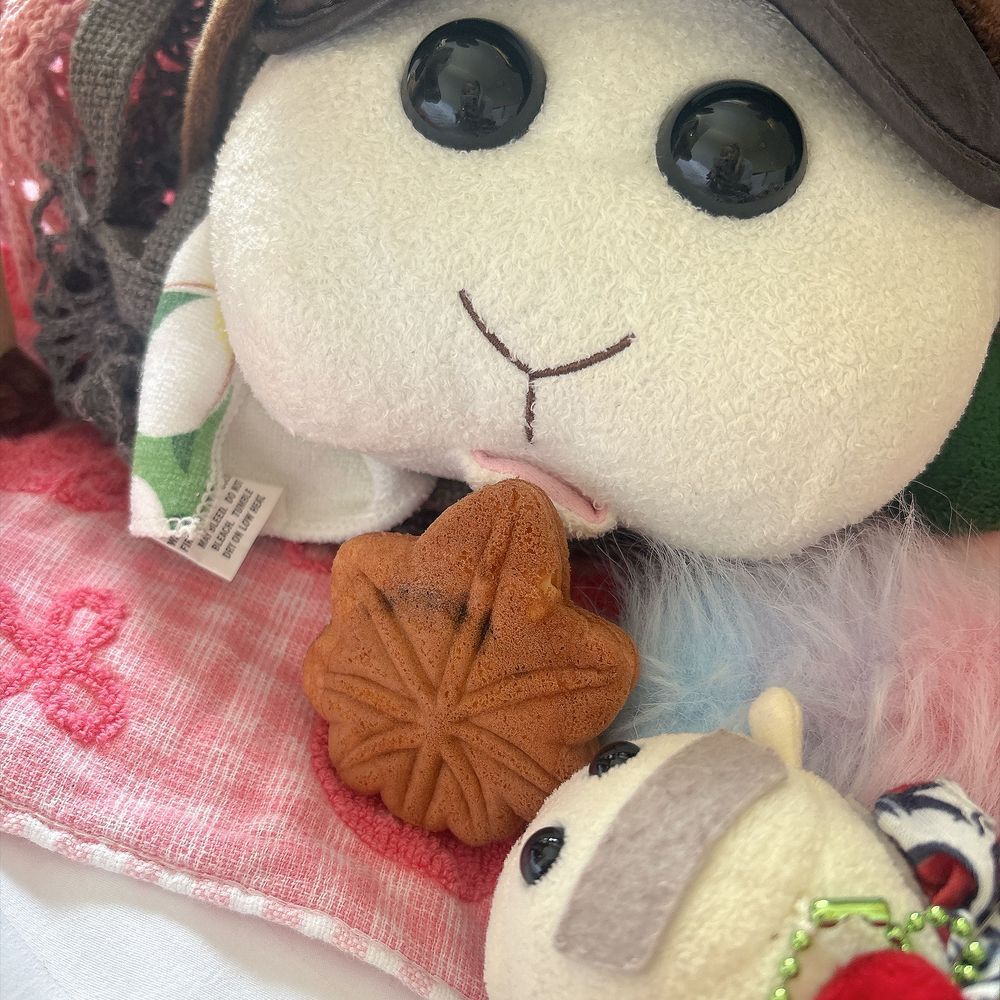 ゆめタウンで売ってて秋っぽいから買ってみたんだよぉ〜！カボチャは甘さが強いんだよぉ〜！🎃🍇🍁モチ🍡
ブドウの味する餡子って初めてなの〜♡不思議な味なの〜♡リアリィ🐶