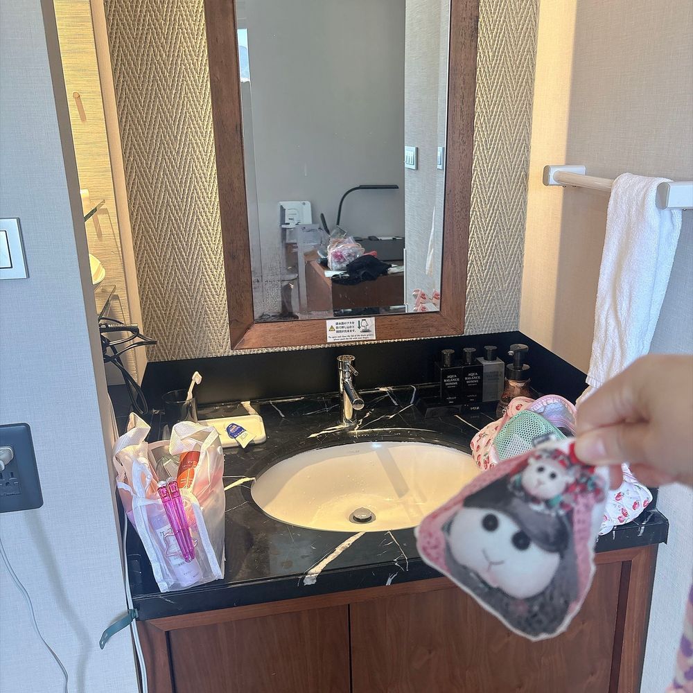 楽しかった広島旅行のホテルの写真を見返してるんだよぉ〜！いちばん小さい部屋だったけどベッドが大きくて良かったんだよぉ〜！モチ🍡
4つ星ホテルなの〜♡去年はアップグレードでオーシャンビューだったの〜♡リアリィ🐶