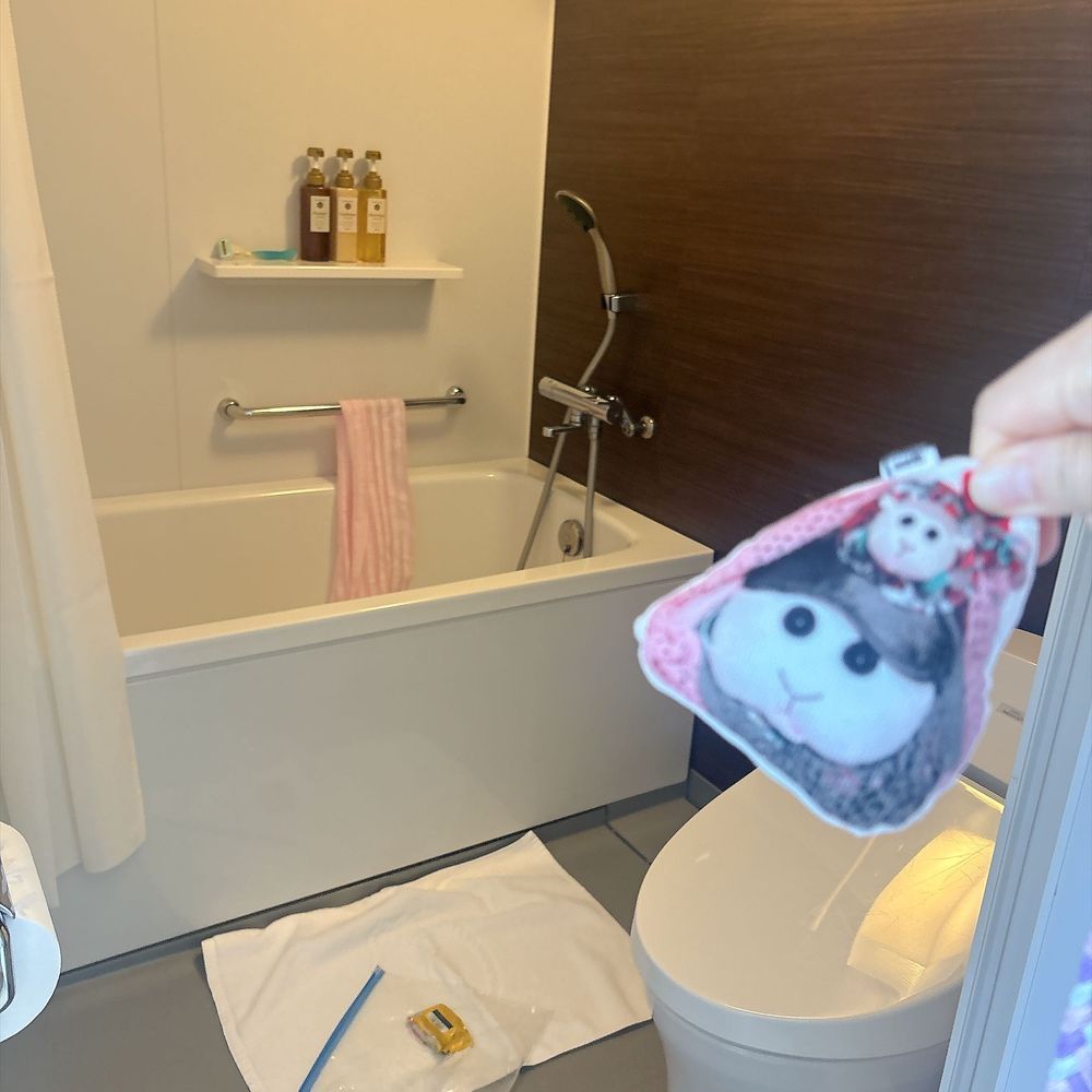 楽しかった広島旅行のホテルの写真を見返してるんだよぉ〜！いちばん小さい部屋だったけどベッドが大きくて良かったんだよぉ〜！モチ🍡
4つ星ホテルなの〜♡去年はアップグレードでオーシャンビューだったの〜♡リアリィ🐶