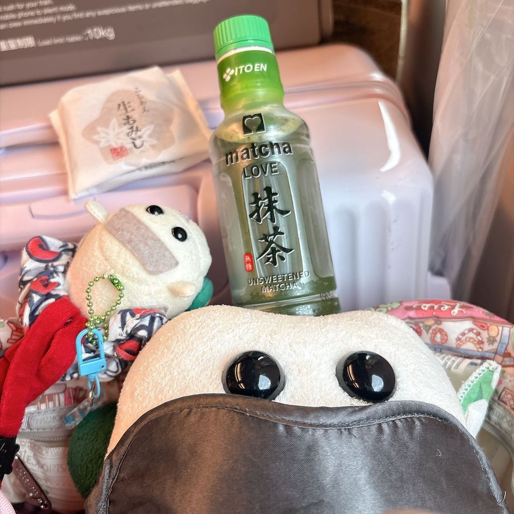 モチ🍡調べたんだよぉ〜！matcha LOVE 抹茶は10月6日から全国で発売なんだってぇ〜！モチ🍡
すごく抹茶で美味しいやつなの〜♡リアリィ🐶