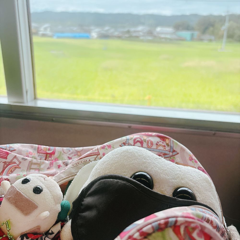 ちいかわの4DXを奈良の郡山まで観に行ったんだよぉ〜！水が飛んでくるかなと思ってビニール袋で防御したんだよぉ〜！笑でも必要ないレベルの水だったんだよぉ〜！モチ🍡
4DXは追いかけられたり戦う時とウサギとモモンガと相性いいの〜♡面白かったの〜♡3回目も楽しかったの〜♡リアリィ🐶