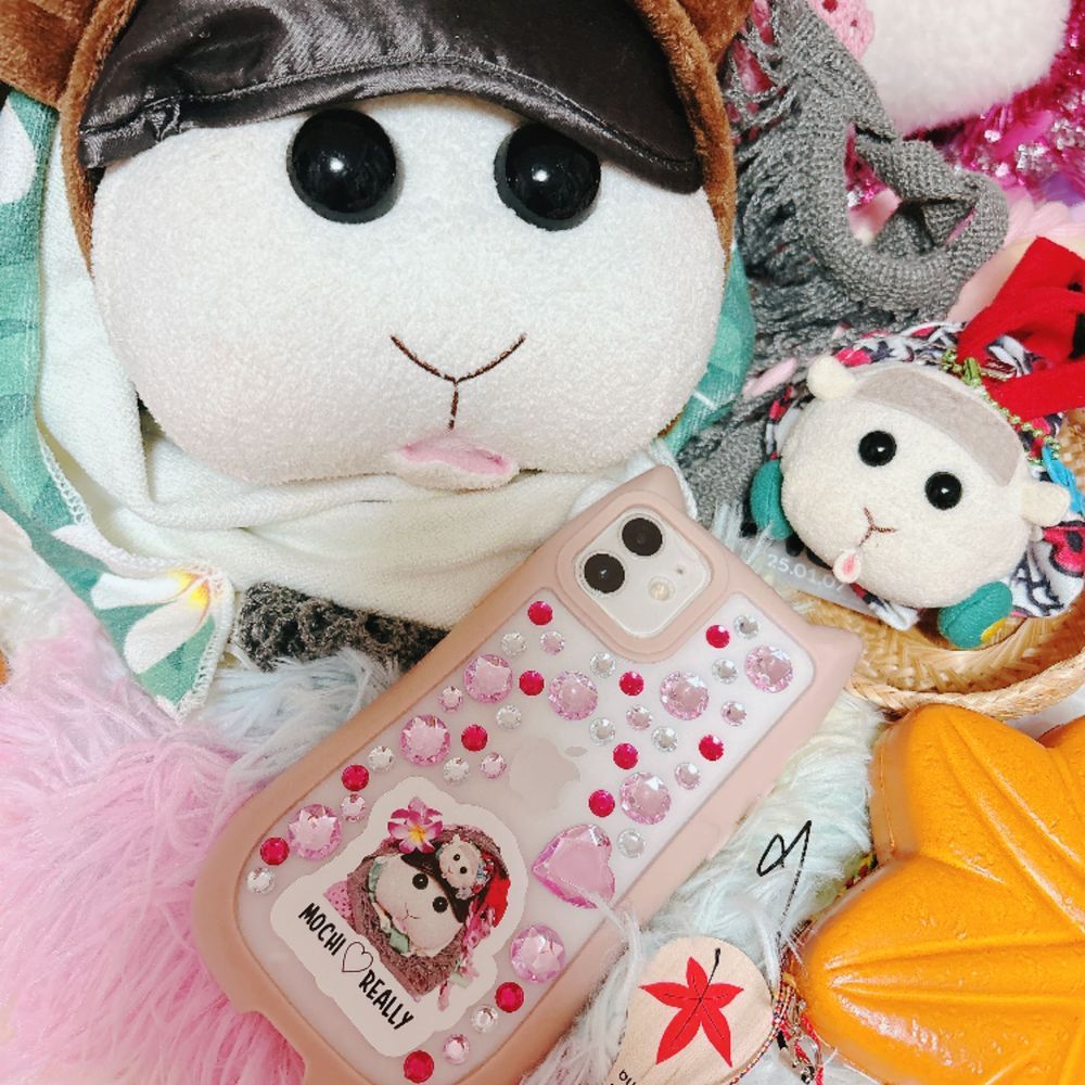 お姉ちゃんのエゴでモチリアシールを作ったんだってぇ〜！32個もモチリアなんだよぉ〜！お姉ちゃんはモチ🍡達の事好きすぎるんだよぉ〜！モチ🍡
サブスマホのケースにさっそく貼ってるの〜♡お姉ちゃんとモチリアは両想いなの〜♡リアリィ🐶

