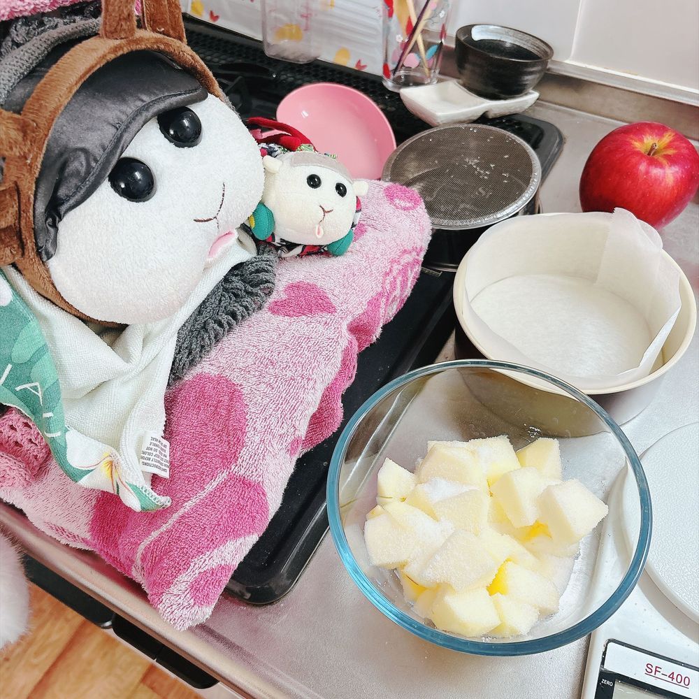 ケーキを作ってるんだよぉ〜！パティスリーモチリア🍰なんだよぉ〜！モチ🍡
リアリィ🐶達今日はパティエさんなの〜♡リアリィ🐶