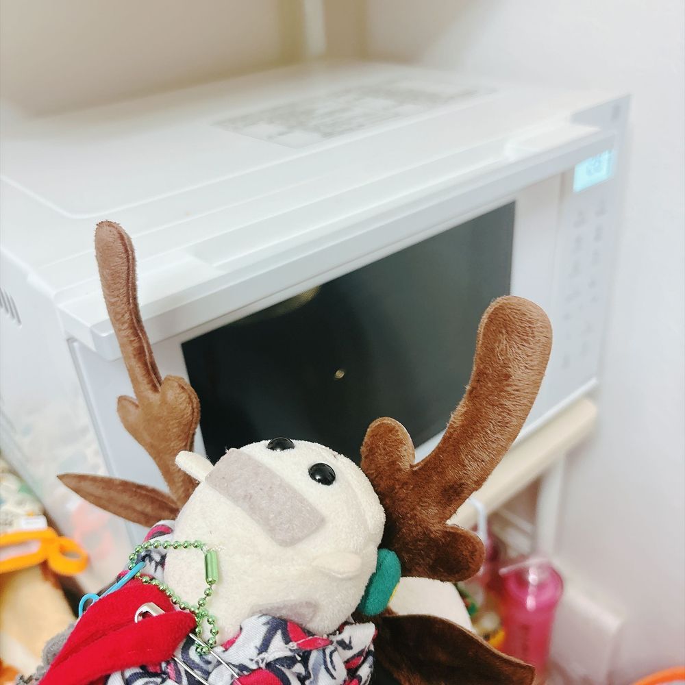 アップルシナモンを作ったんだよぉ〜！そしていろいろまぜまぜなんだよぉ〜！モチ🍡
リアリィ🐶りんごさんつまみ食い我慢したの〜♡今焼けるのドキドキして待ってるの〜♡リアリィ🐶