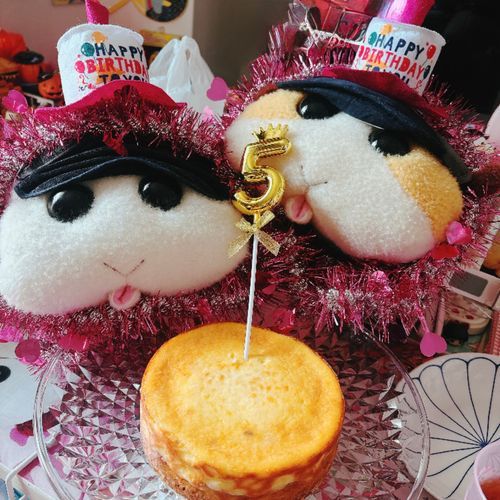 モチ🍡の育ての親、葉月ハムカツ🧡(左)と葉月カシワモチ💚(右)の5歳の誕生日ケーキなんだよぉ〜!おめでとうなんだよぉ〜!いつもありがとうなんだよぉ〜!モチ🍡
アップルシナモンチーズケーキなの〜♡うまくできたの〜♡リアリィ🐶