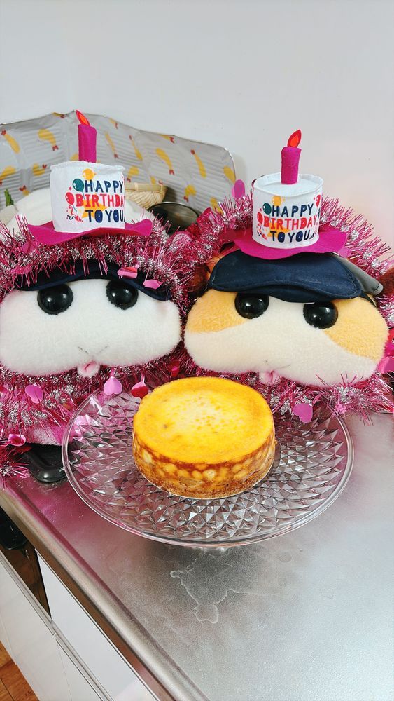 モチ🍡の育ての親、葉月ハムカツ🧡(左)と葉月カシワモチ💚(右)の5歳の誕生日ケーキなんだよぉ〜！おめでとうなんだよぉ〜！いつもありがとうなんだよぉ〜！モチ🍡
アップルシナモンチーズケーキなの〜♡うまくできたの〜♡リアリィ🐶