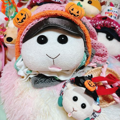 10月もモチリアをよろしくお願いしますなんだよぉ〜!みんな元気で過ごすんだよぉ〜🎃モチ🍡
お菓子をちょうだいなの〜♡リアリィ🐶の胃袋は4次元なの〜♡今月もよろしくなの〜♡リアリィ🐶