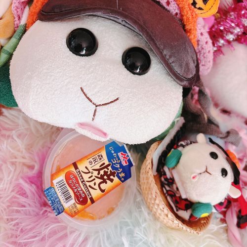 森永の焼プリン🍮美味しかったんだよぉ〜!モチ🍡の好物はプリンなんだよぉ〜!プリンモチ🍡
リアリィ🐶は卵さんが好きなの〜🥚リアリィ🐶