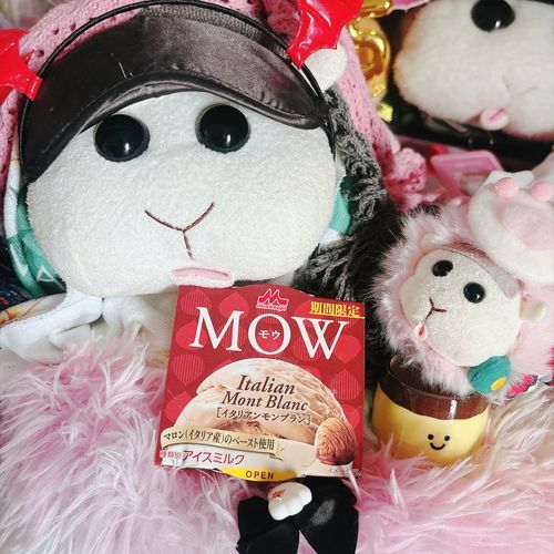 スーパーで売っててなんとなく買ったんだけど、栗が濃厚ですごく美味しかったからオススメなんだよぉ〜！モチ🍡
MOWは確かほうじ茶のも美味しかったの〜♡リアリィ🐶