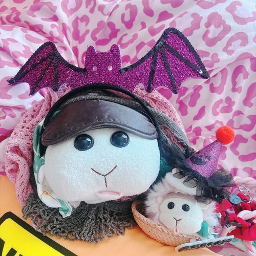 ハッピーハロウィン🎃なんだよぉ〜！なの〜♡モチ🍡&リアリィ🐶
