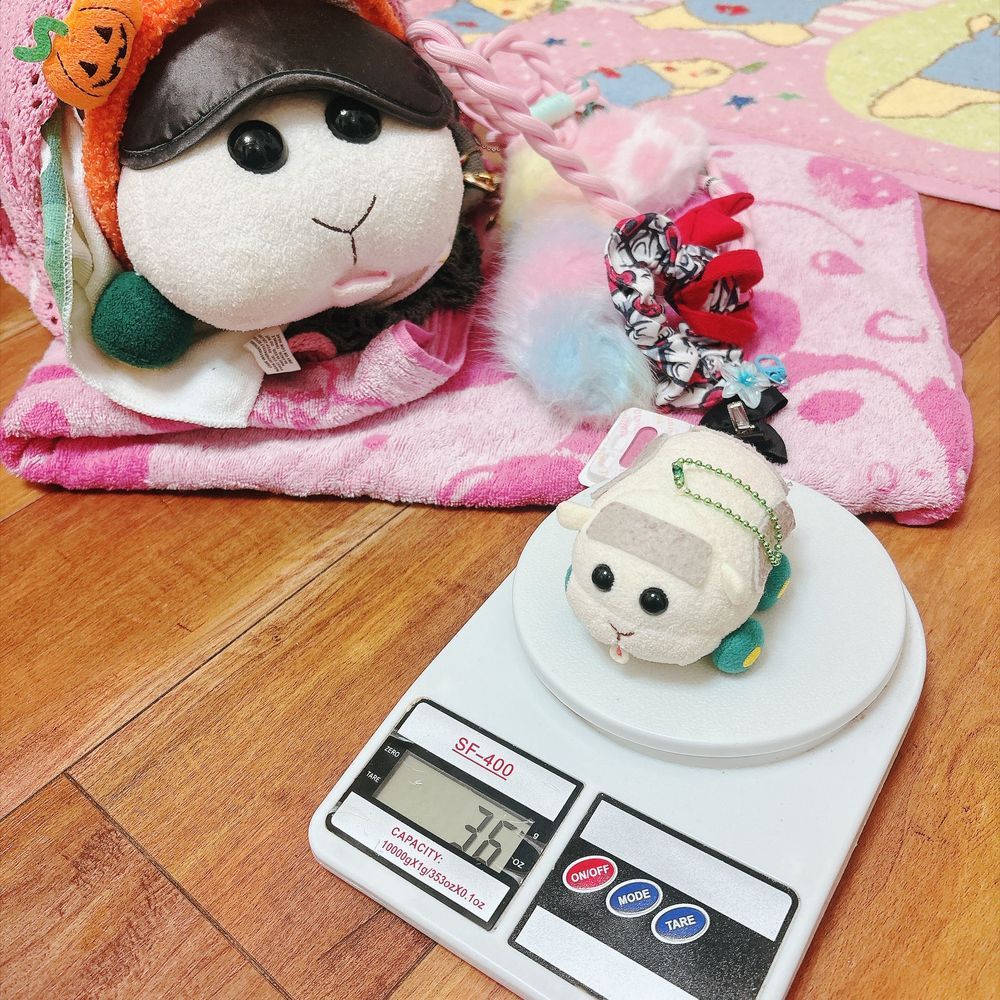 友達のズっちゃん🐢🧡の真似して体重を測ってみたんだよぉ〜！装備なしのモチ🍡131gなんだよぉ〜！モチ🍡
リアリィ🐶は36gだったの〜♡装備ありのモチリアは423gなの〜♡リアリィ🐶