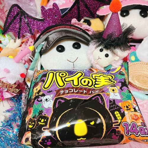トリックオアトリートでお菓子ゲットなの〜♡パイの実なの〜♡リアリィ🐶
みんなですぐ食べたんだよぉ〜！久しぶりにお菓子なんだよぉ〜！モチ🍡