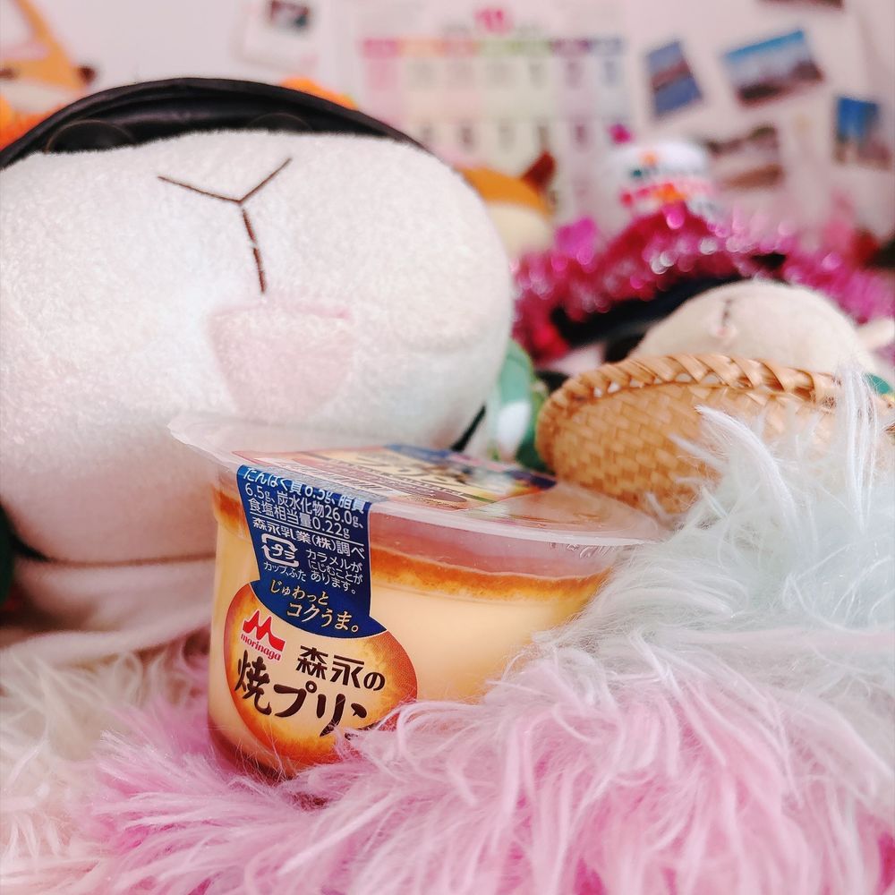 森永の焼プリン🍮美味しかったんだよぉ〜！モチ🍡の好物はプリンなんだよぉ〜！プリンモチ🍡
リアリィ🐶は卵さんが好きなの〜🥚リアリィ🐶