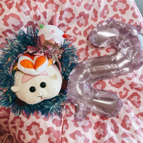 モチリアを守る組織の寿司ジロたん🦐2歳のお誕生日なんだよぉ〜！ジロたんおめでとうなんだよぉ〜！モチ🍡
ジロたん♡おめでとうなの〜♡リアリィ🐶