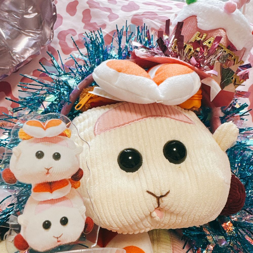 モチリアを守る組織の寿司ジロたん🦐2歳のお誕生日なんだよぉ〜！ジロたんおめでとうなんだよぉ〜！モチ🍡
ジロたん♡おめでとうなの〜♡リアリィ🐶