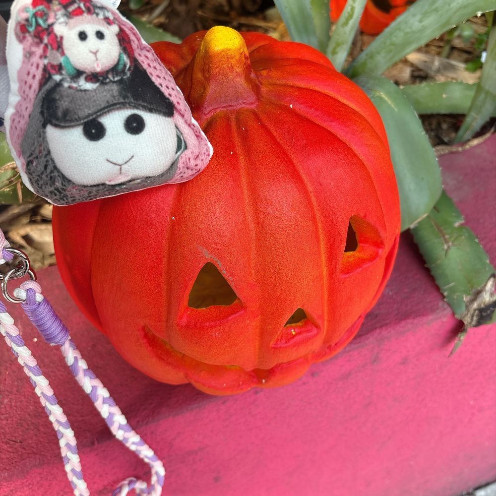 アメ村でハロウィン🎃の飾りがたくさんのとこがあったから記念撮影なの〜♡リアリィ🐶
楽しい気分になるの〜♡リアリィ🐶