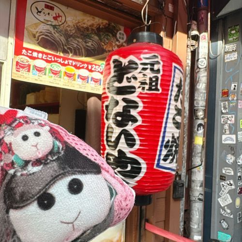 友達のトトさんに教えてもらったお店に行って来たんだよぉ〜！塩味のたこ焼き🐙すごく美味しかったんだよぉ〜！モチ🍡
あちあちでうまうまなの〜♡ただ階段が急で怖かったの〜♡リアリィ🐶