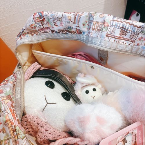 お姉ちゃんの病院の付き添い、、つまりナイトのお仕事なんだよぉ〜！モチ🍡
リアリィ🐶怪力だからモンスターをやっつけるの〜♡リアリィ🐶