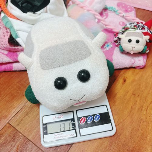 友達のズっちゃん🐢🧡の真似して体重を測ってみたんだよぉ〜!装備なしのモチ🍡131gなんだよぉ〜!モチ🍡
リアリィ🐶は36gだったの〜♡装備ありのモチリアは423gなの〜♡リアリィ🐶