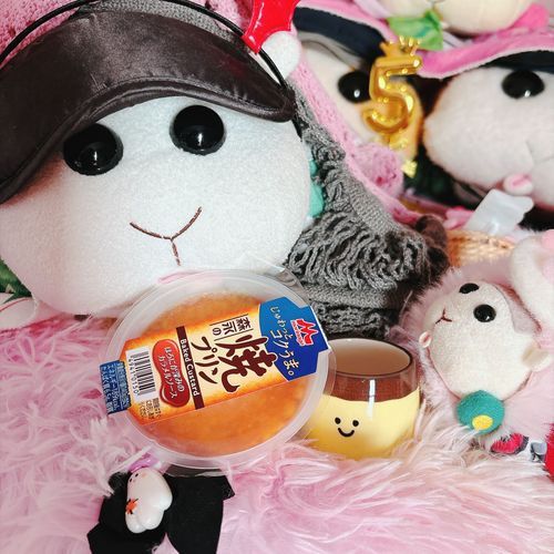 モチ🍡は〜♪プリンが大好きなんだよぉ〜♪今日も明日もおやつはプリンなんだよぉ〜♪モチ🍡