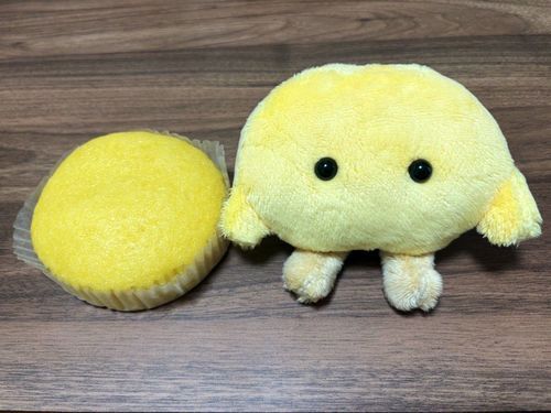 ちょっとにてる？