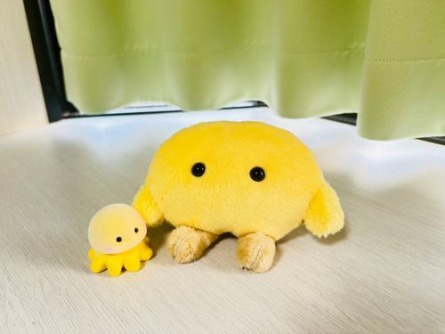 そっくりさん🪼