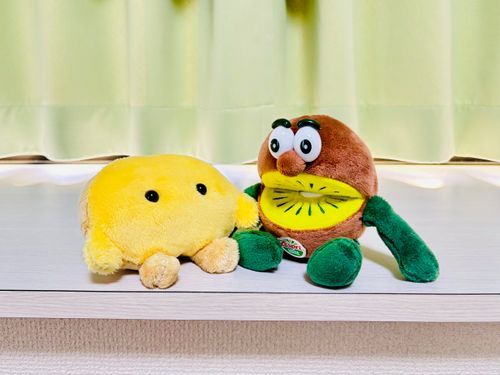 あたらしいおともだち🥝