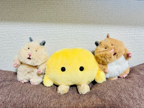 あたらしいおともだち🐹🐹