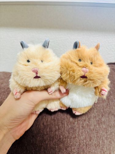なまえがきまったよ
みりんちゃん と みそちゃん😋