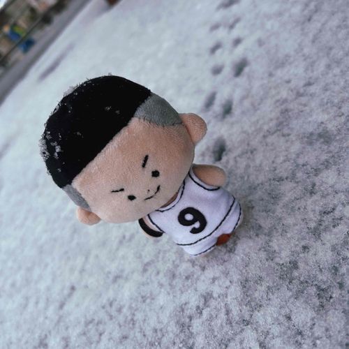 雪！雪だ！