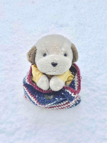 今日は寒かったので冬のラマダくんを貼るね〜☃️