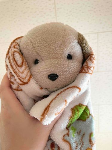 朝はだいたいのり巻き！