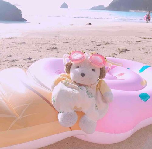 ぬいぐるみ絵本『パーリーピーポー』を作ります🐶📙🌟元気いっぱいでパリピなぬいぐるみの写真を募集します。記載してもいいよってぬいさんは応募して下さい。『だら〜ん』の時同様基本的には応募してくれたぬいさん全員記載させていただきます。締め切りは24日日曜日23:59まで❣️