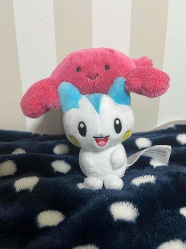 組体操だ