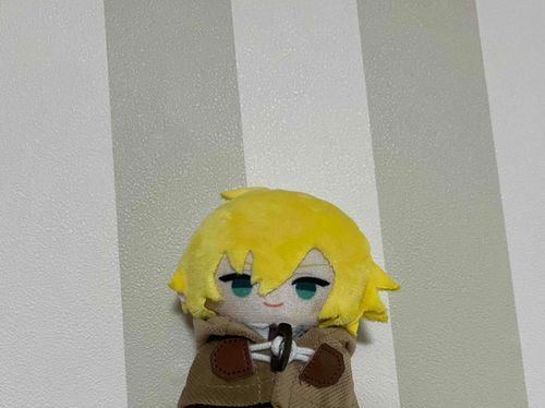 セリアというブランドのコートらしい