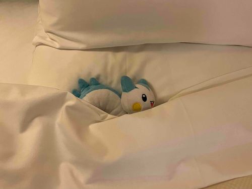 おやすみ