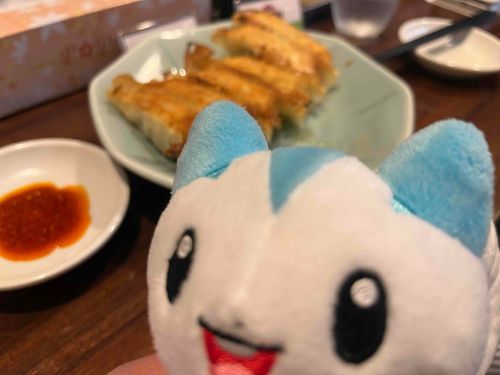 本場の餃子だ！