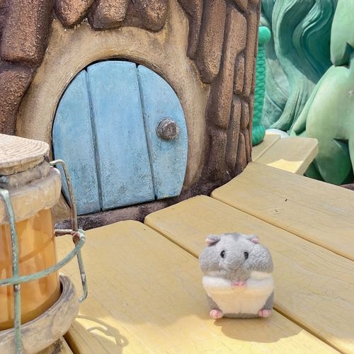 えすえぬえすデビューでちゅ