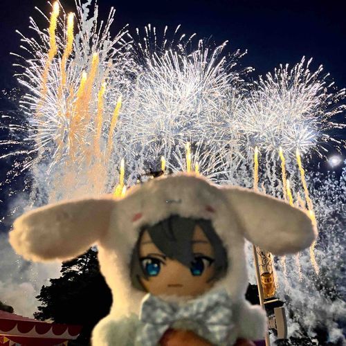 🎆