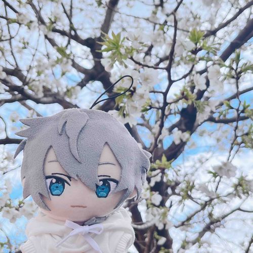 🌸