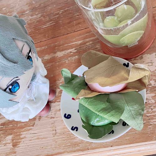 かしわもち っす！