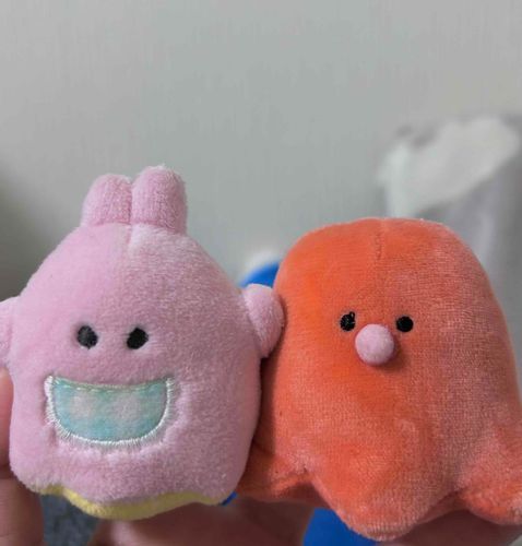 うさこと 同じ大きさだ
まだベビーなのに…
