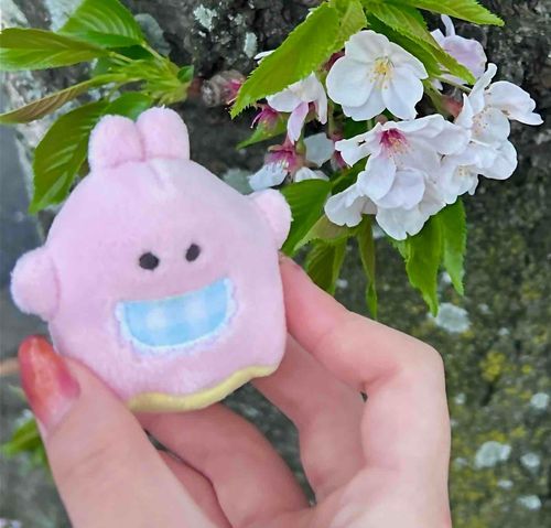 うさこ と さくら！
まだ寒いけど 春だねー
みんな 体調に気をつけてね