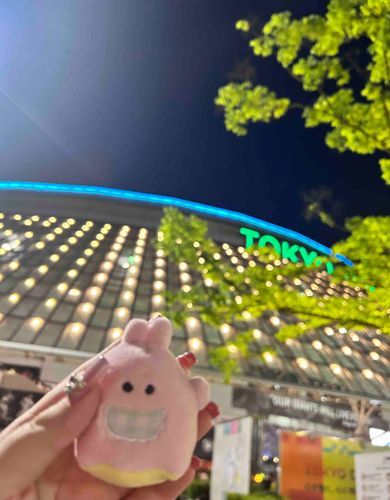 実は うさこ らいぶに行ってたよ
なんて楽しい また来てねー