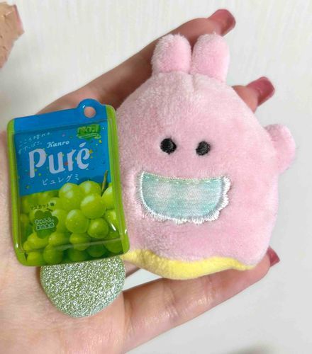 うさこサイズの ピュレグミだよ💚
