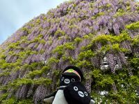 すいぺん