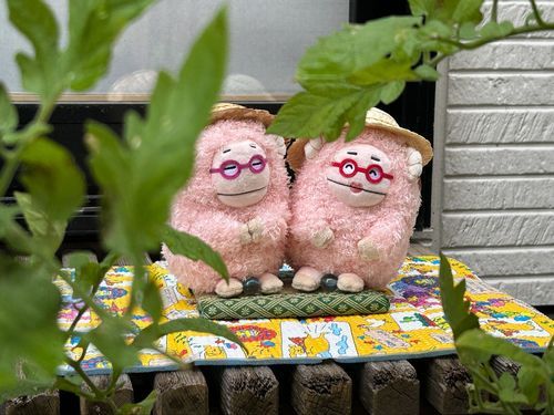 家の縁側でまったり、トマトの苗を見つめるヨルガヤ姉妹…(Eテレ2355のキャラクターです)