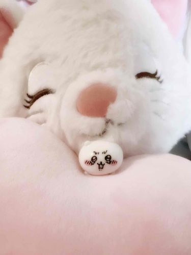 つかまえた！