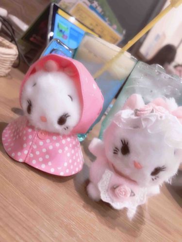 おうせ！カッパおしゃきゃはじめまして