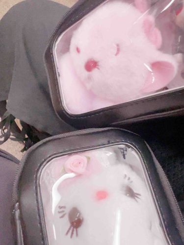 ともだちとおでかけよ〜